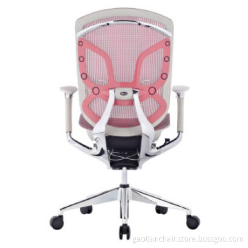 Ergonomic Chair